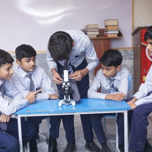 WhatsApp Image 2024-09-22 at 03.22.25_29a35b97